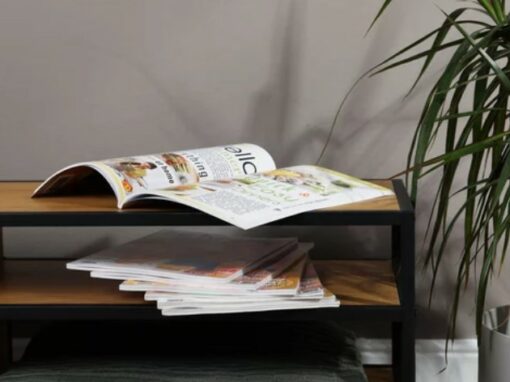 Brochures – Catalogues